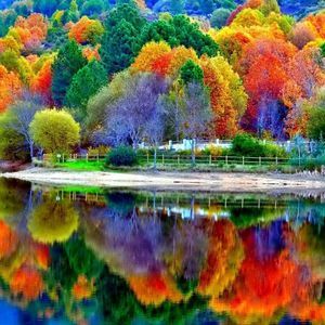 Meet your Posher, Vicki